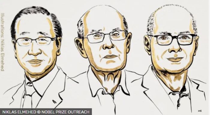 Химия саласындағы Нобель сыйлығы металлоорганикалық қосылыстар жасаған ғалымдарға берілді