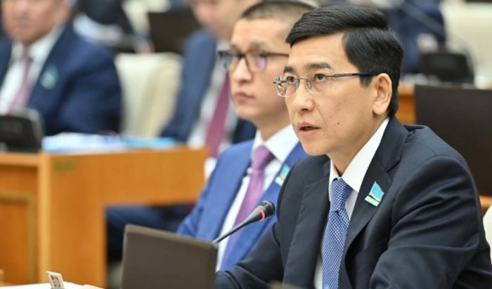«​Мұғалім чат модераторы емес»: Аймағамбетов жаңа заң әзірленгенін айтты