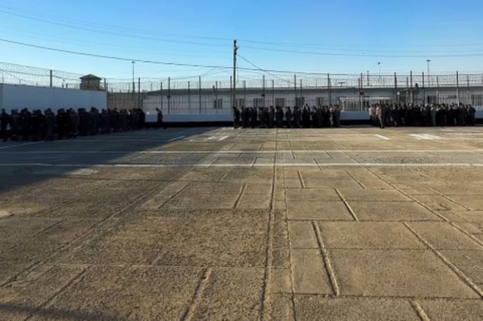 Жас, арық қыздар мен кішкентай сиськи бар порно кітапхана