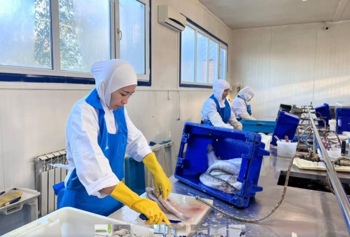 Қызылордада «Қарашалаң балық» зауыты ашылды