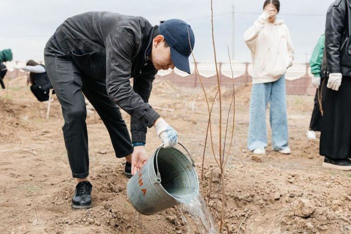 Атырау мектептеріне 250 тал көшеті отырғызылады