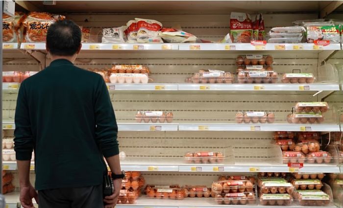 ​Германия тұрғындарына соғысқа дайындық жөнінде жаңа нұсқаулық шықты