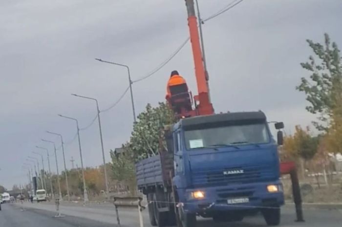 Атырауда әуежайға барар жол бойындағы ағаштар жаңа мекенге көшірілуде