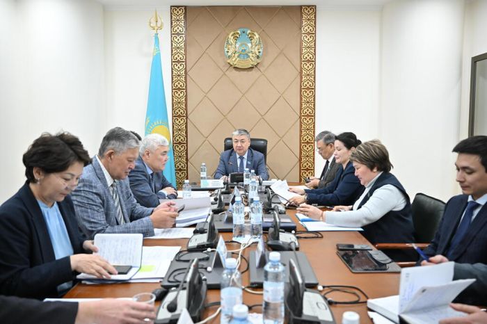 ​Сенат ЖИ туралы заңды мәжіліске кері қайтарды