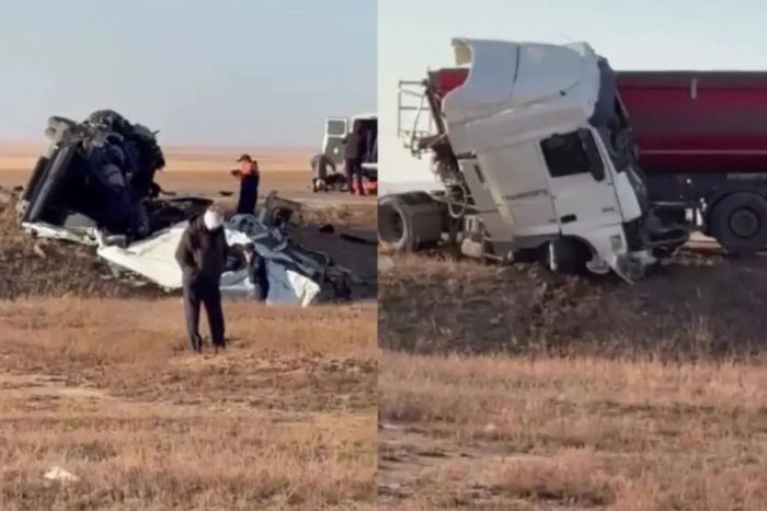 ​ІІМ Ақтөбе облысындағы жол апатын тергеу үшін арнайы топ жіберді