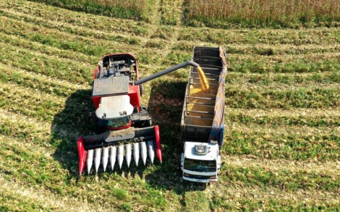 Қазақстанда 26,9 млн тонна астық бастырылды