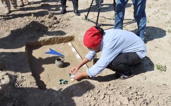 Археология мен реставрацияға лицензия енді бөлек беріледі