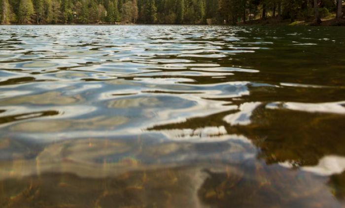 Президент тапсырмасы: Үкімет СҚО-дағы бөгетті қалпына келтіруге 1,4 млрд теңге бөлді