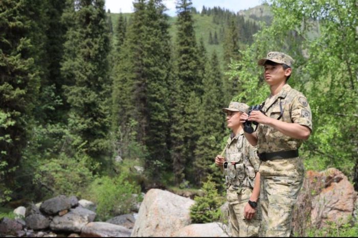 Каспийде браконьерліктің 106 дерегі әшкереленді 