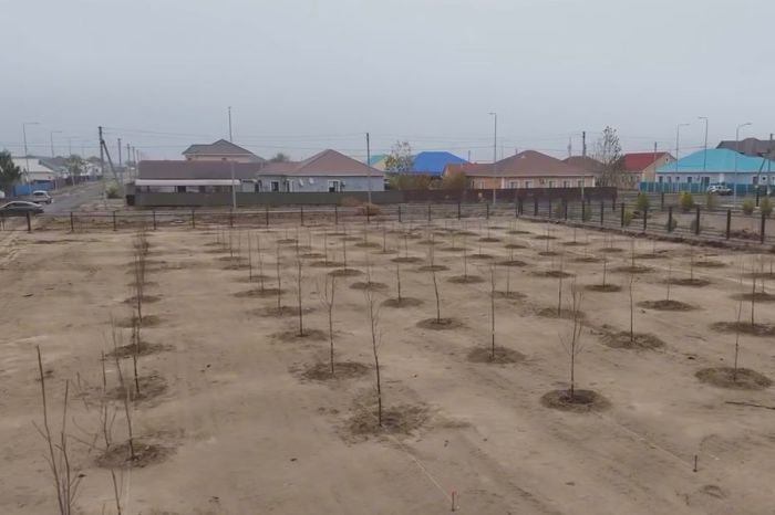 Дамбы ауылына жаңа саябақ салынады