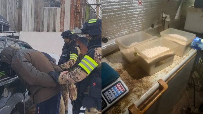 Полиция есірткі өндірумен айналысқан қылмыстық топтың заңсыз әрекетін әшкереледі 