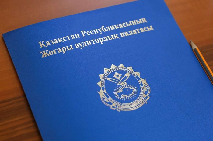 Аудиттен кейін Денсаулық сақтау министрлігінің бірқатар шенеунігі жауапқа тартылды