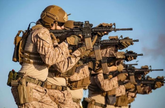 Ұлыбритания Украинадағы жағдайға қатысты әскер жіберу мүмкіндігін қарастыруда