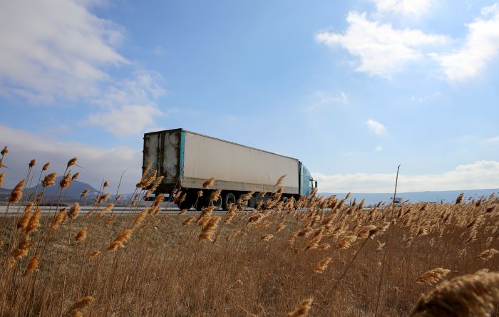 Беларусь Литвада тіркелген жүк көліктерін ел аумағынан шығарудан бас тартты