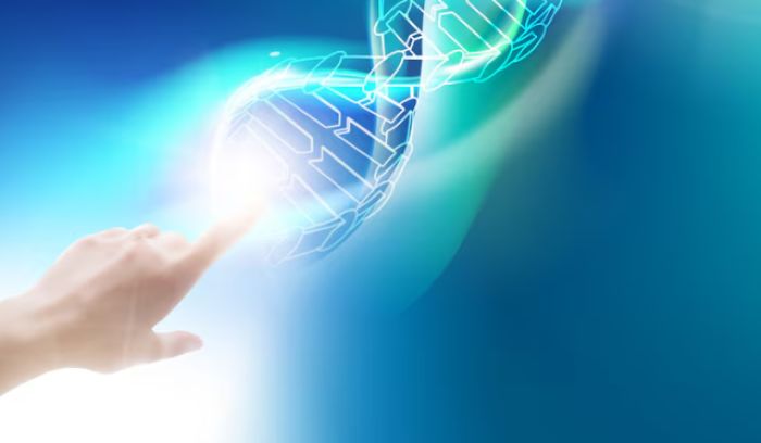 ІІМ ДНҚ-технологияларының көмегімен 2016 жылғы кісі өлтіру қылмысын ашты