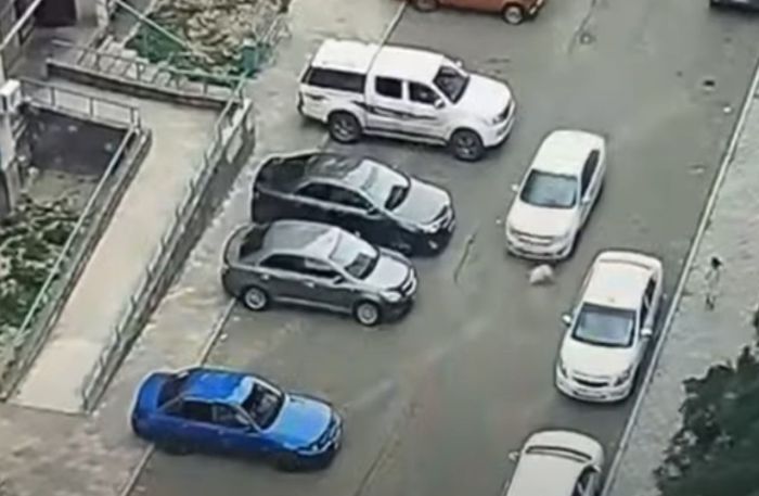 ​Атырауда жүргізуші баланы қағып, 110 мың теңге айыппұл төлейтін болды