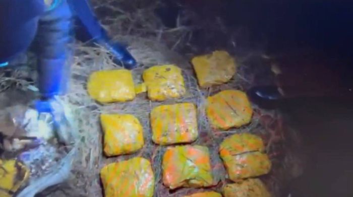 ​Полицейлер Ақмола облысында 12 келіден астам​ мефедрон тәркіледі