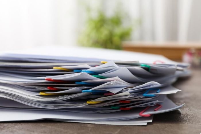 Әулиекөлде ветеринариялық анықтамаларды қолдан жасаған ерлі-зайыптылар сотқа берілді