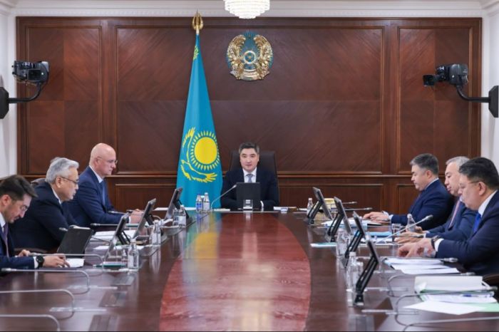 Премьер-министр отын балансы мен мұнай өнімдерінің ағынын қатаң бақылауды тапсырды 