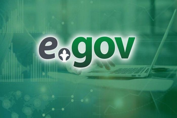  Электрондық үкімет eGov.kz жүйесіне кіруге арналған жаңа тәсілдер енгізілді