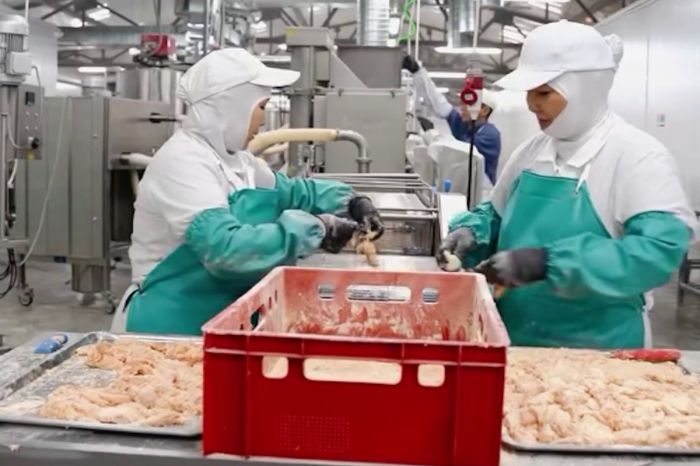 Made in Atyrau: қалада құс етін өңдейтін жаңа өндіріс іске қосылды