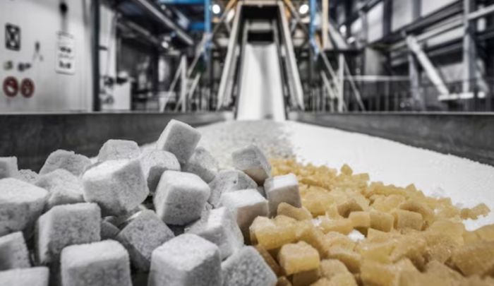 Қазақстанда екі қант зауытын салуға Cengiz Holding компаниясы 500 млн доллар инвестиция салады