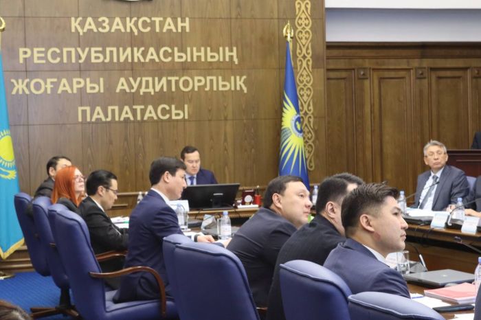 209 млрд шығын: Өңірлердегі ӘКК жұмысында кемшіліктер анықталды