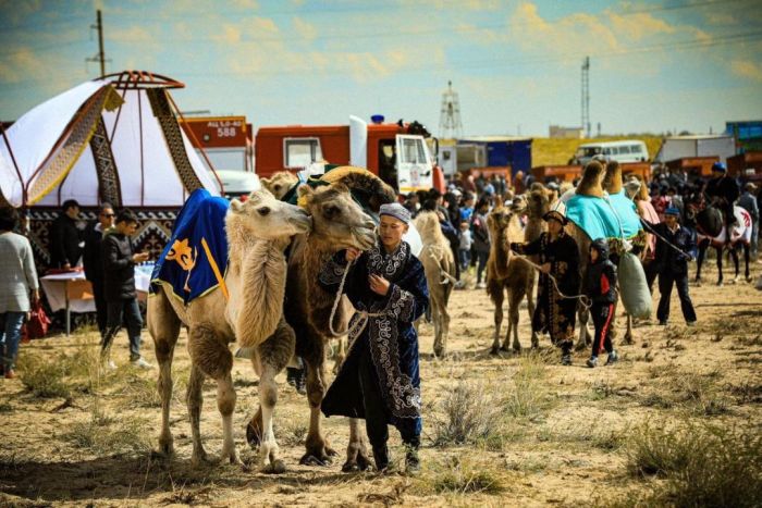 Ақтөбе облысында мал басы мемлекеттік қолдаудың арқасында 7%-ке өсті