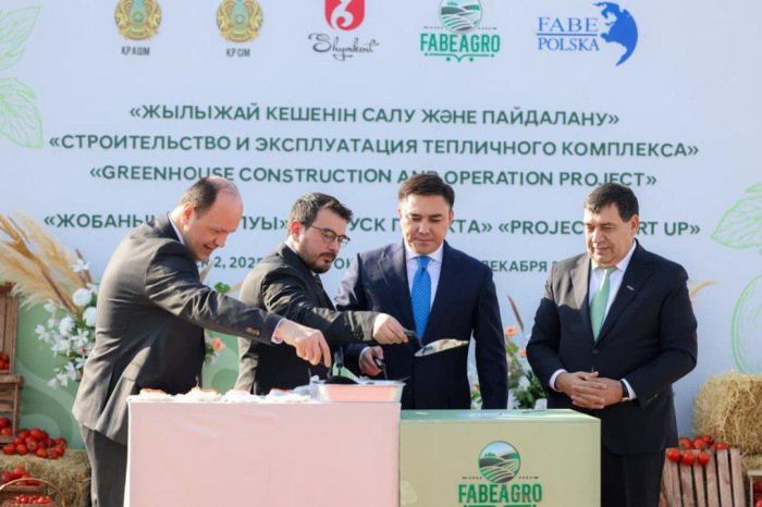 Шымкентте жылына 36 мың тонна көкөніс өндіретін жылыжай кешені салынады