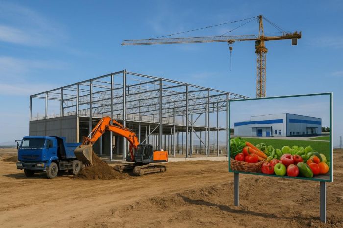 Алматы облысында жылына 70 мың тонна көкөністер және жемістер терең өңделетін зауыт салынуда