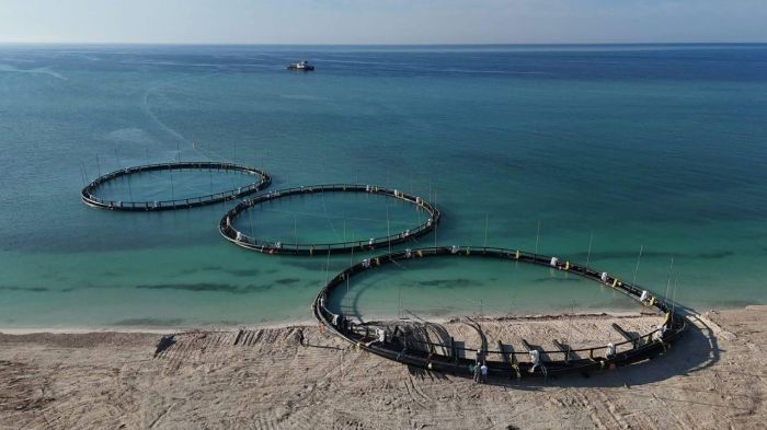 Маңғыстау облысында инвестор тарту және ірі жобаларды іске асыру жұмыстары қарқын алды