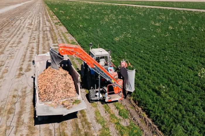 Ауыл шаруашылығы: Атырау облысында өнім көлемі 116,8 млрд теңгеге жетті