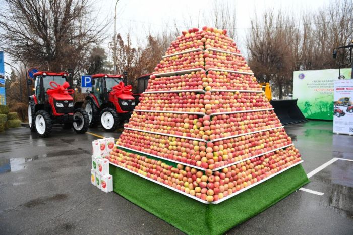 Өнімділік пен инновация: Алматы облысы ауыл шаруашылығындағы жылдық жетістіктерін көрсетті