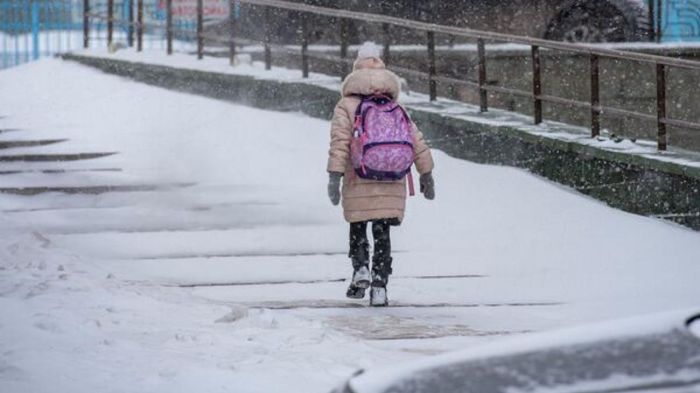 Астанада екінші ауысымның бастауыш сынып оқушылары онлайн оқиды