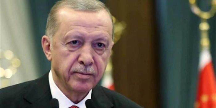 Ердоған: Түркия Украинадағы қақтығысты бейбіт жолмен реттеуді қолдайды