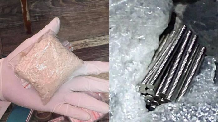 Павлодарда есірткіні магнит арқылы жасырған азамат ұсталды  