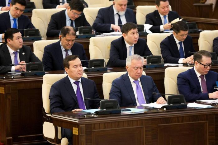 Қазақстанда кәсіпкерлікті қолдау жүйесінде кемшіліктер анықталды