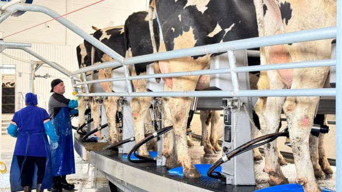 СҚО тәжірибесін тарату бағдарламасы аясында 84 инвестициялық жоба іске асырылды