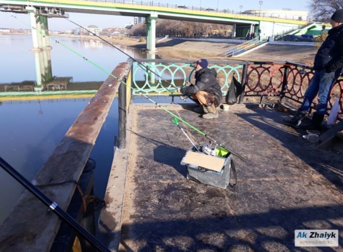 Мұз үстіндегі қармақ және айыппұл: Атырауда балық аулау ережесі күшейді