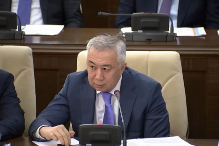 «Алма піс, аузыма түс»: Мәжілісте әлеуметтік-кәсіпкерлік корпорациялар жұмысы сынға қалды