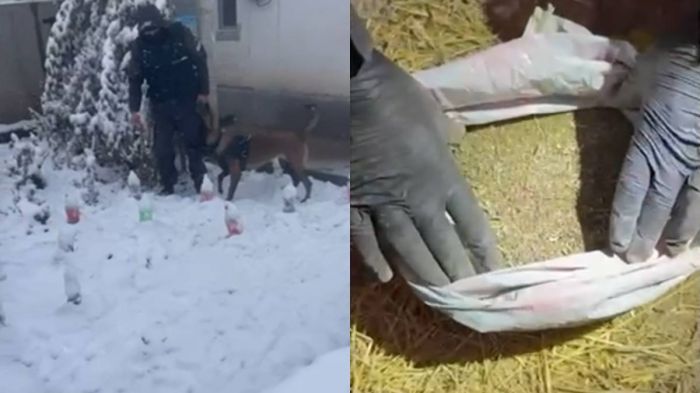 Алматыда полиция ірі көлемдегі есірткі сату арнасының жолын кесті  