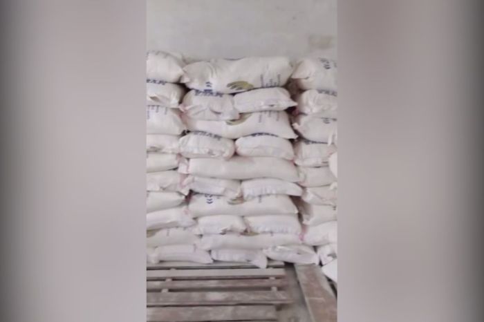 Ресейден әкелінген ұнға фитосанитарлық бақылау: Құрманғазы ауданындағы тексеріс нәтижелері