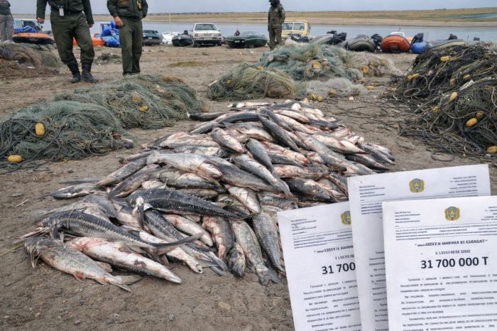 Атырауда браконьерлерге 30 млн теңгеден астам айыппұл салынды