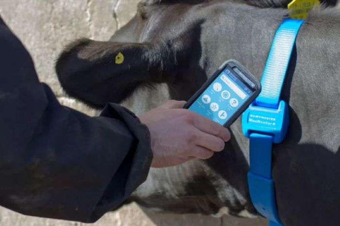 Атырау облысы шаруалары GPS жүйесінің жұмысына наразы