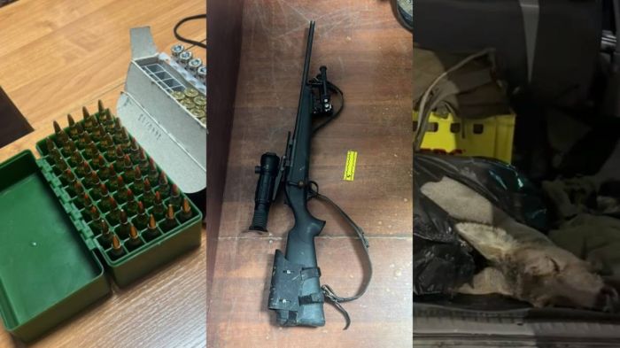 Түркістан облысында полиция заңсыз аң аулау дерегін анықтады 