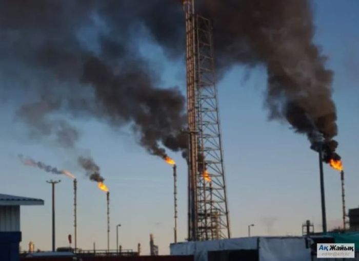 ТШО мұнай өндірудің уақытша тоқтау себебін түсіндірді