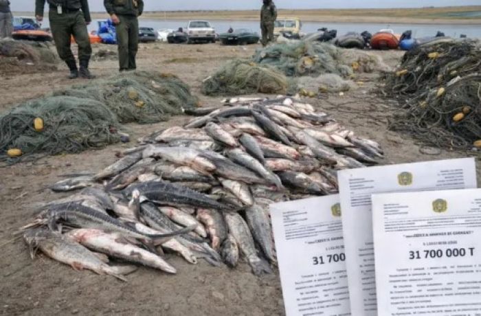 Қай балықты аулауға болмайды: сирек түрлер үшін қанша төлейсіз?