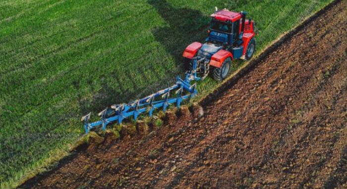 Өңірлер 2026 жылы әлеуметтік маңызы бар көкөністер мен жүгері егісін ұлғайтады