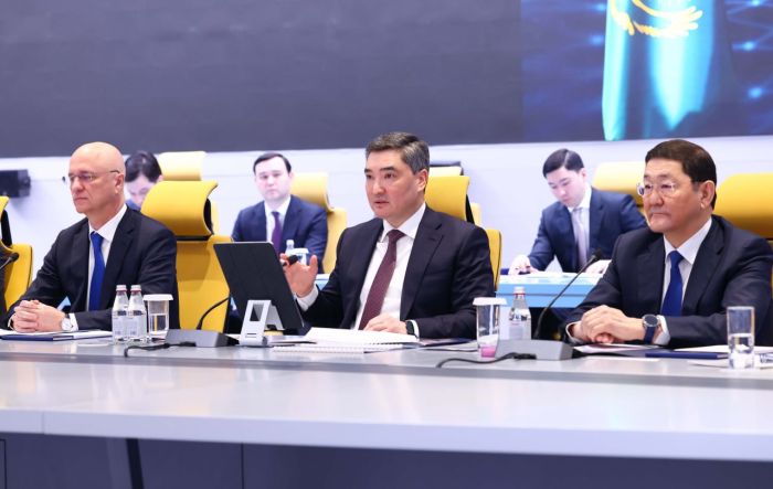 Инвестиция бюрократияның кесірінен тартылмай тұр​: премьер-министр шенеуніктерді сынға алды 