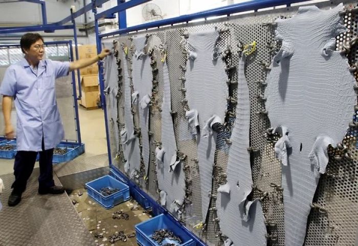 Prada еңбек құқықтарын бұзған 200-ден астам мердігермен келісімшартты үзді